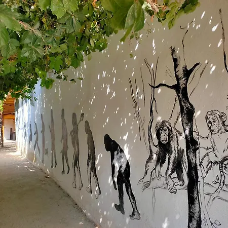 旅馆 Oludeniz Hostel