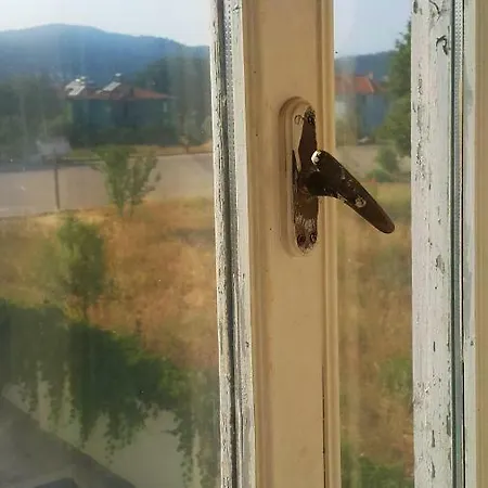 旅馆 Oludeniz Hostel 厄吕代尼兹